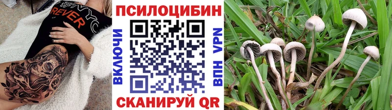 Псилоцибиновые грибы Cubensis  Макаров 